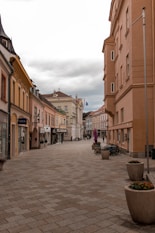 a city street with a few buildings on both sides