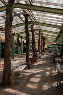 A walkway covered by a green metal and glass pergola with tree trunks integrated into the structure. There are benches, tables, and potted plants along the path, creating a blend of nature and architecture.