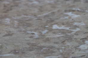 Close-up of smooth textures blending seamlessly in muted tones.