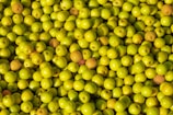 a large pile of green apples sitting on top of each other