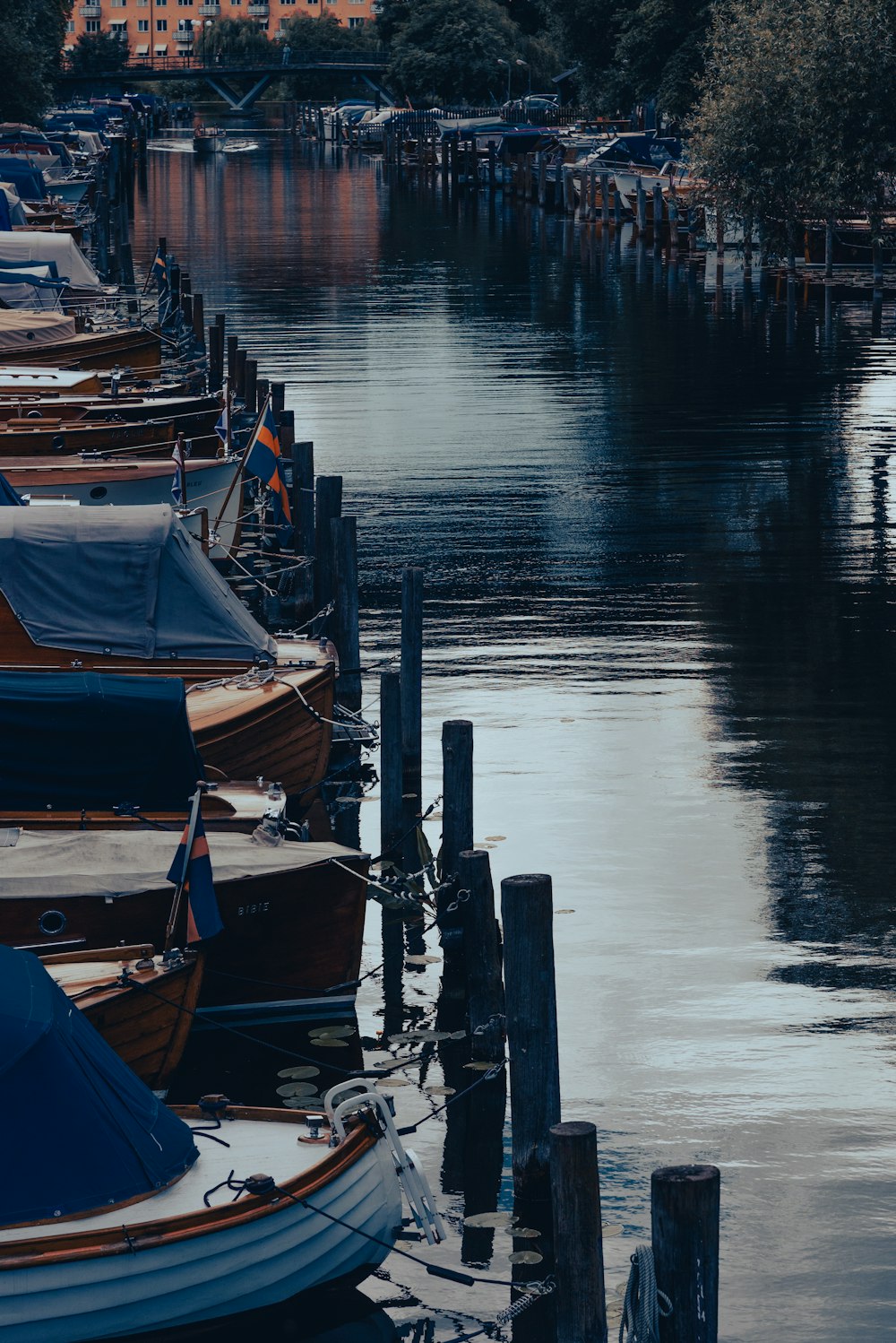 a row of boats sitting next to each other on a lake