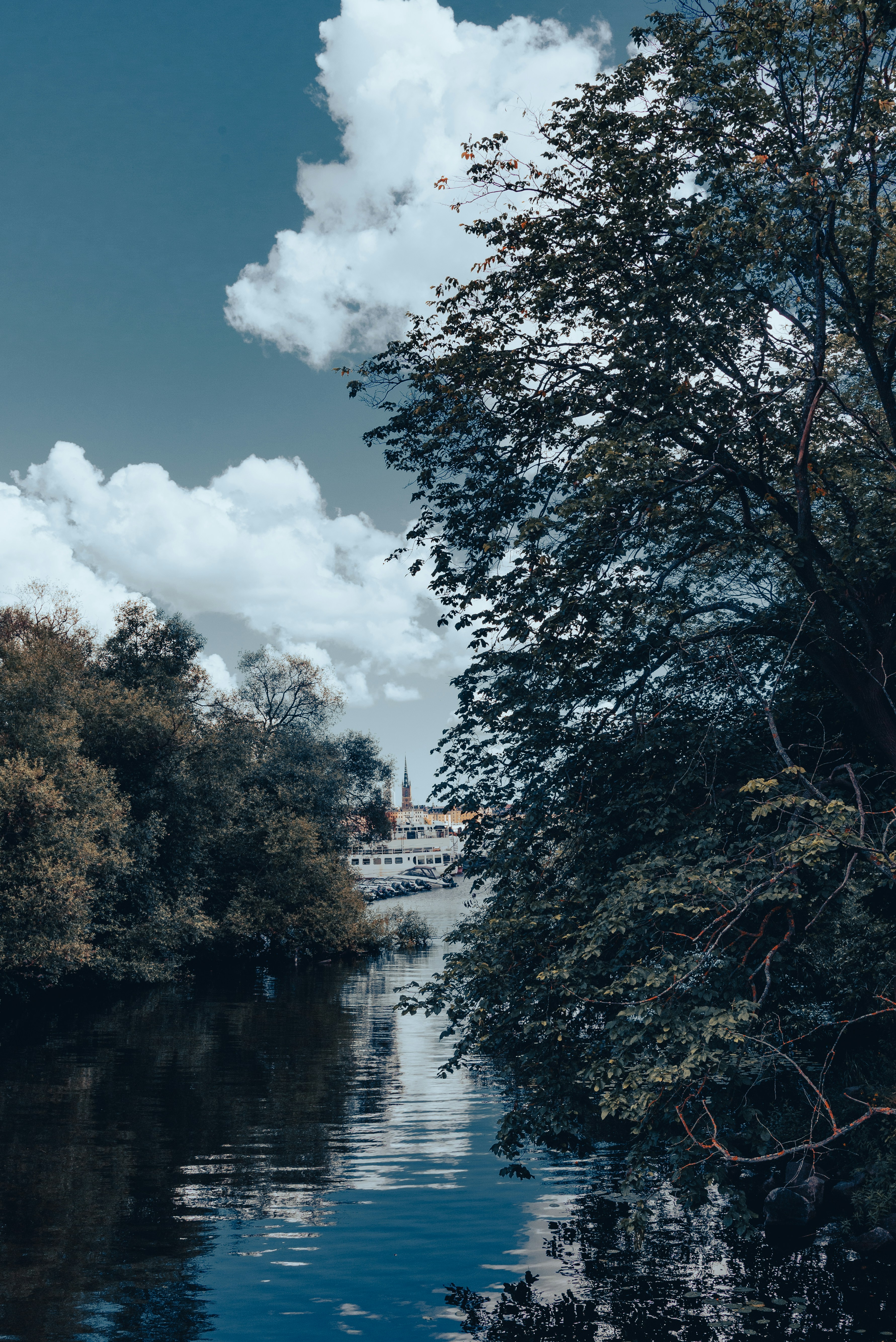 Photo by lorenzoliverani68