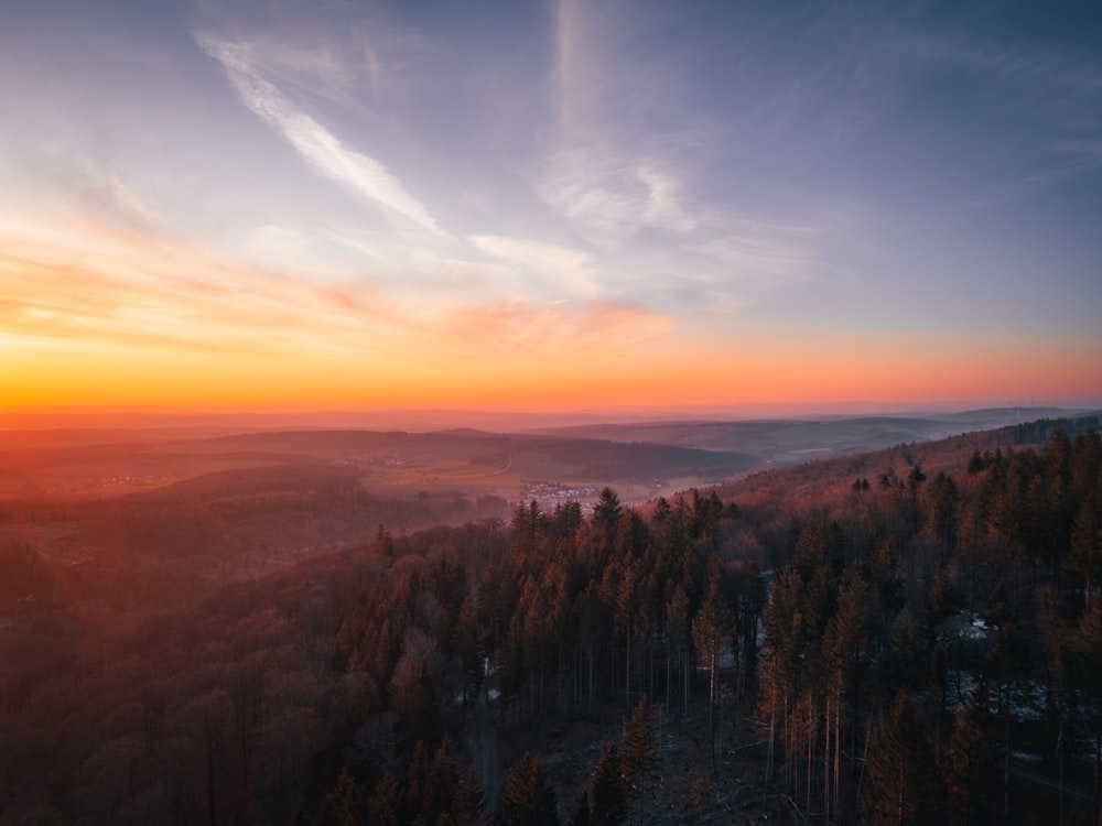 a sunset view of a forest with trees in the foreground