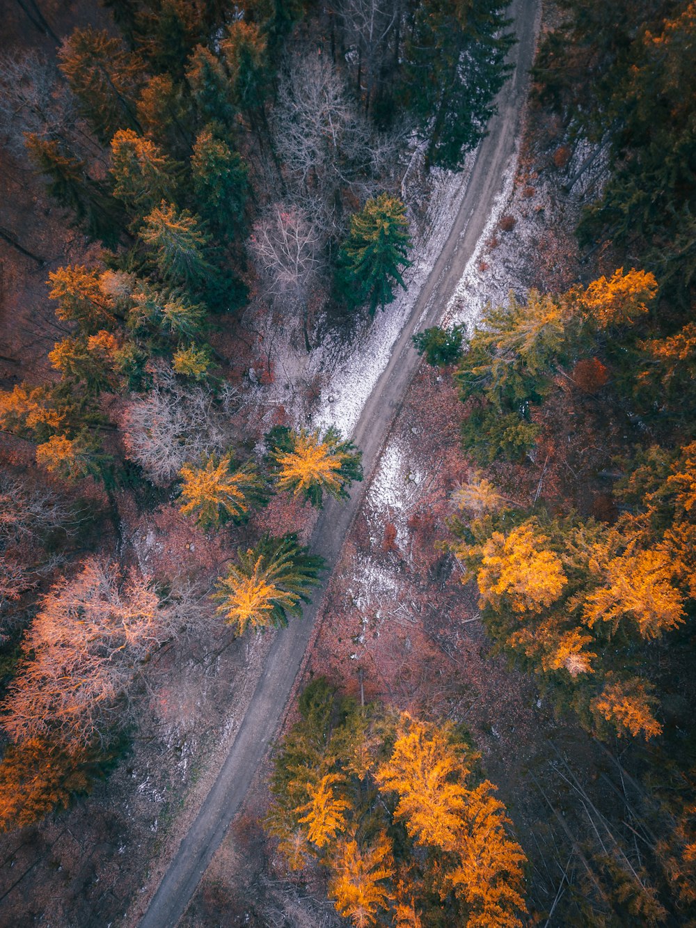 an aerial view of a road surrounded by trees