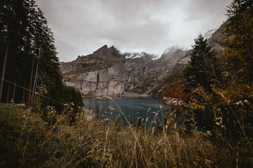 a body of water surrounded by trees and mountains