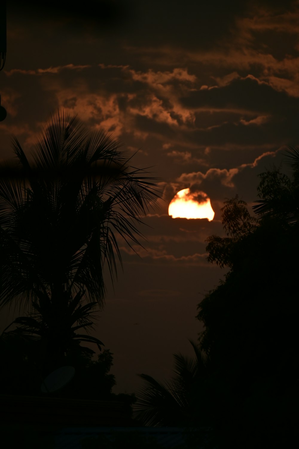 the sun is setting behind some palm trees