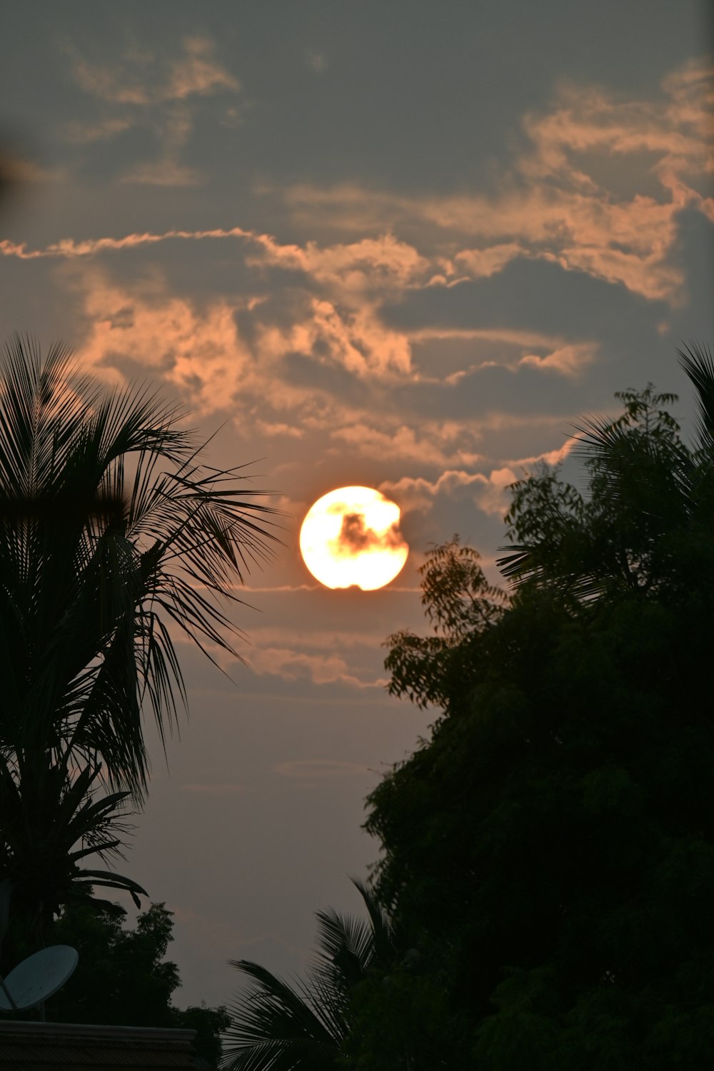 o sol está se pondo atrás de algumas árvores