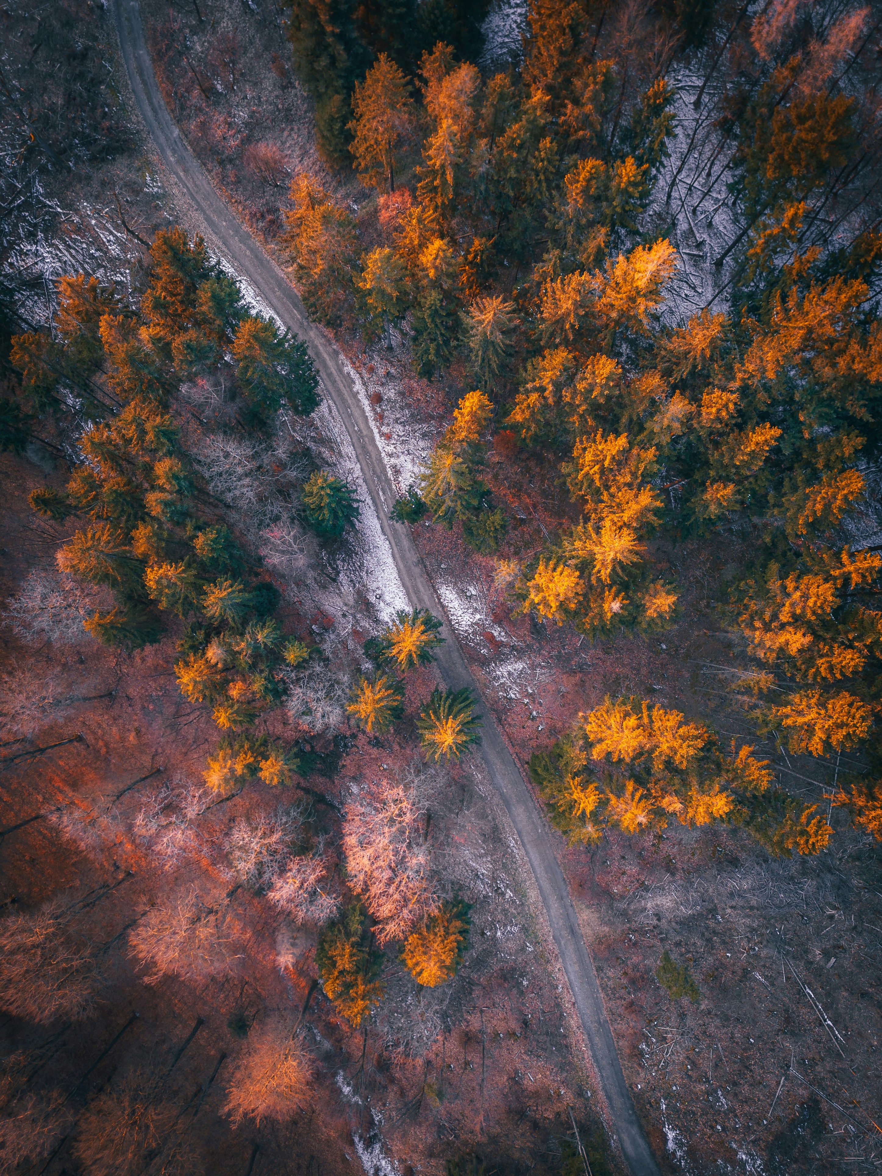 Photo by electerious