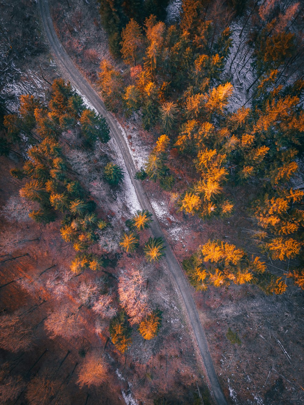 an aerial view of a dirt road surrounded by trees