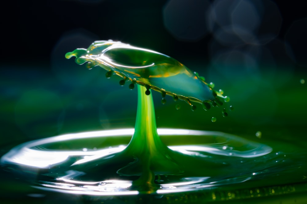a drop of green liquid on top of a green surface