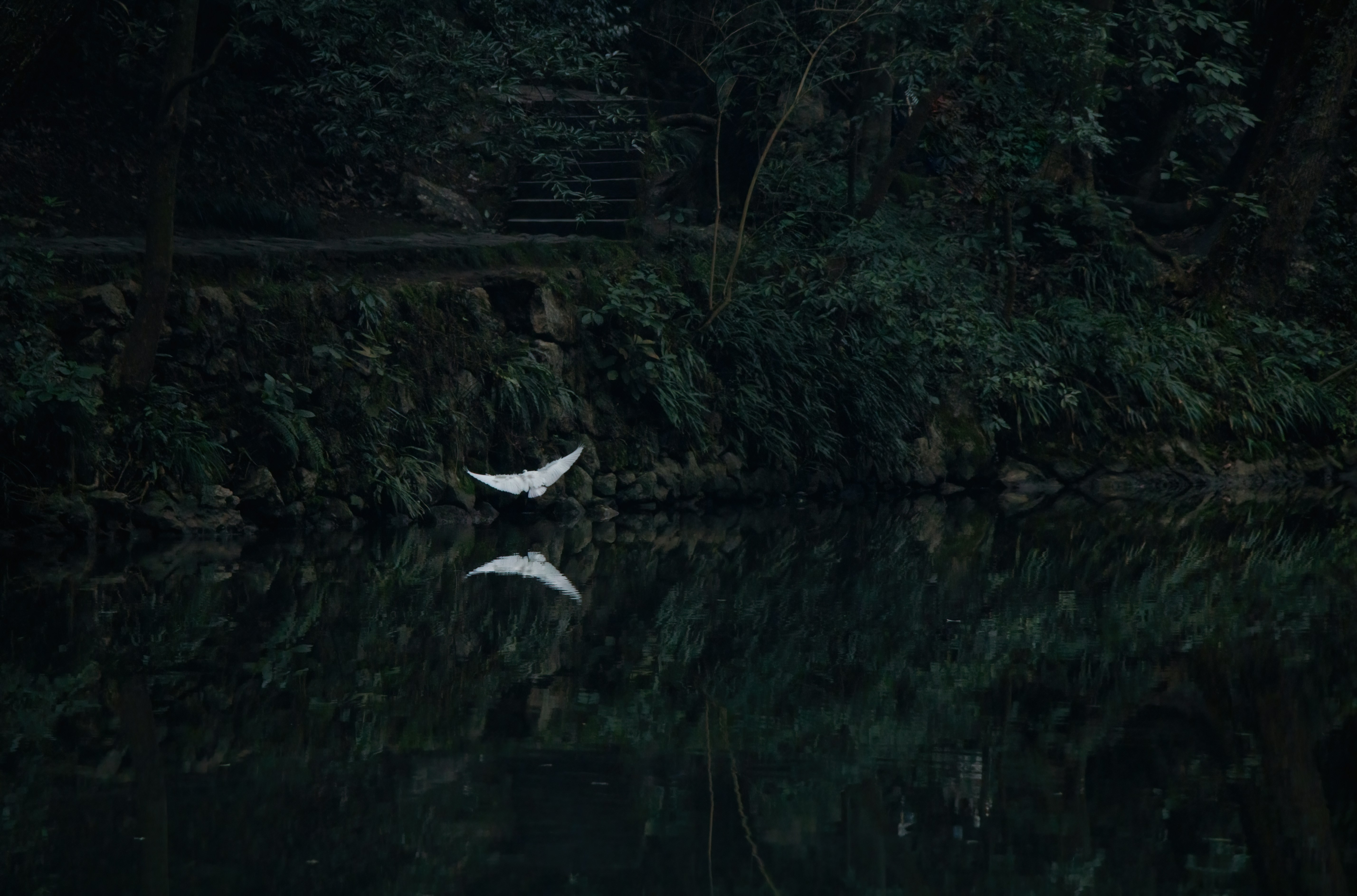 two white birds flying over a body of water