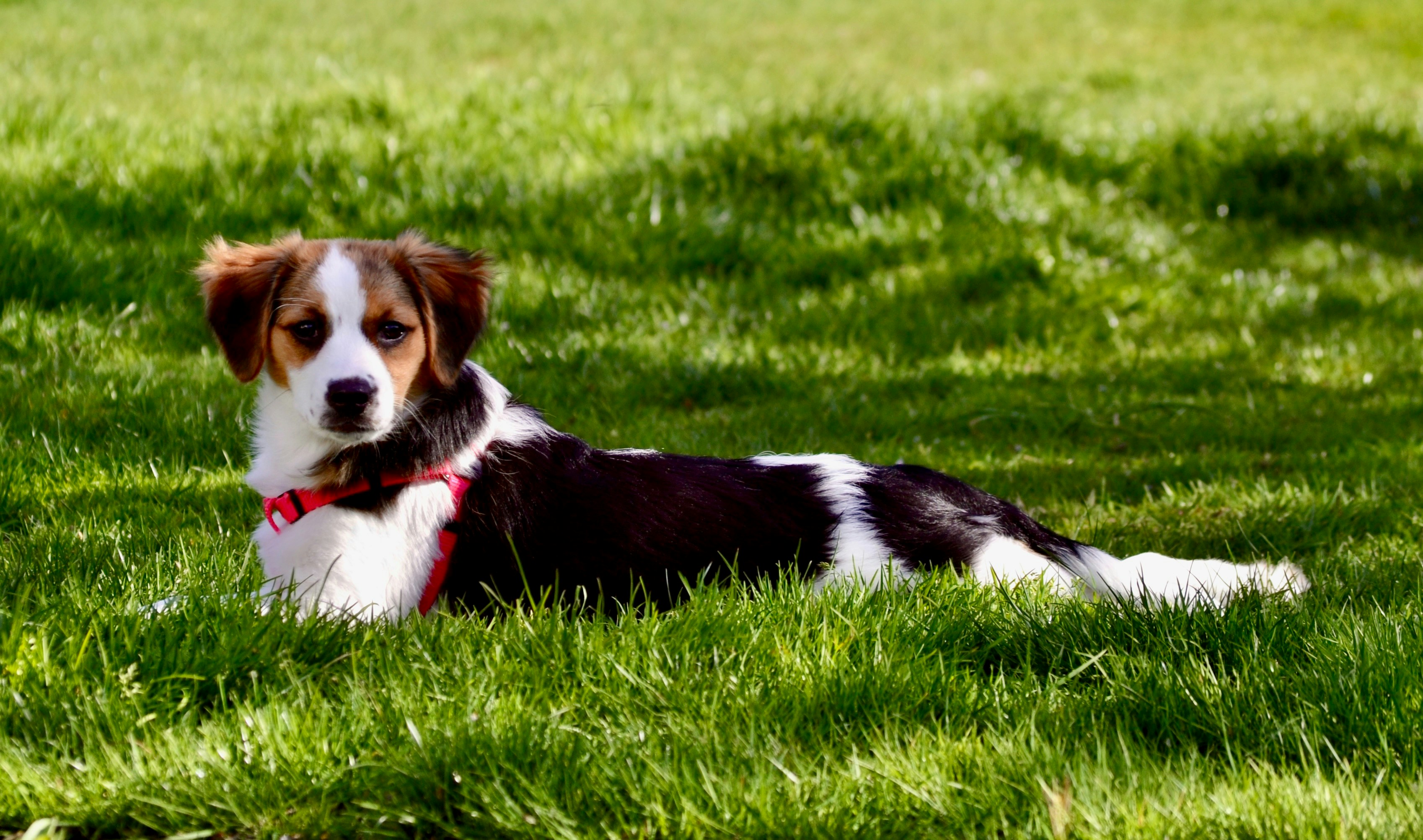 Photo by curated_passage_travel