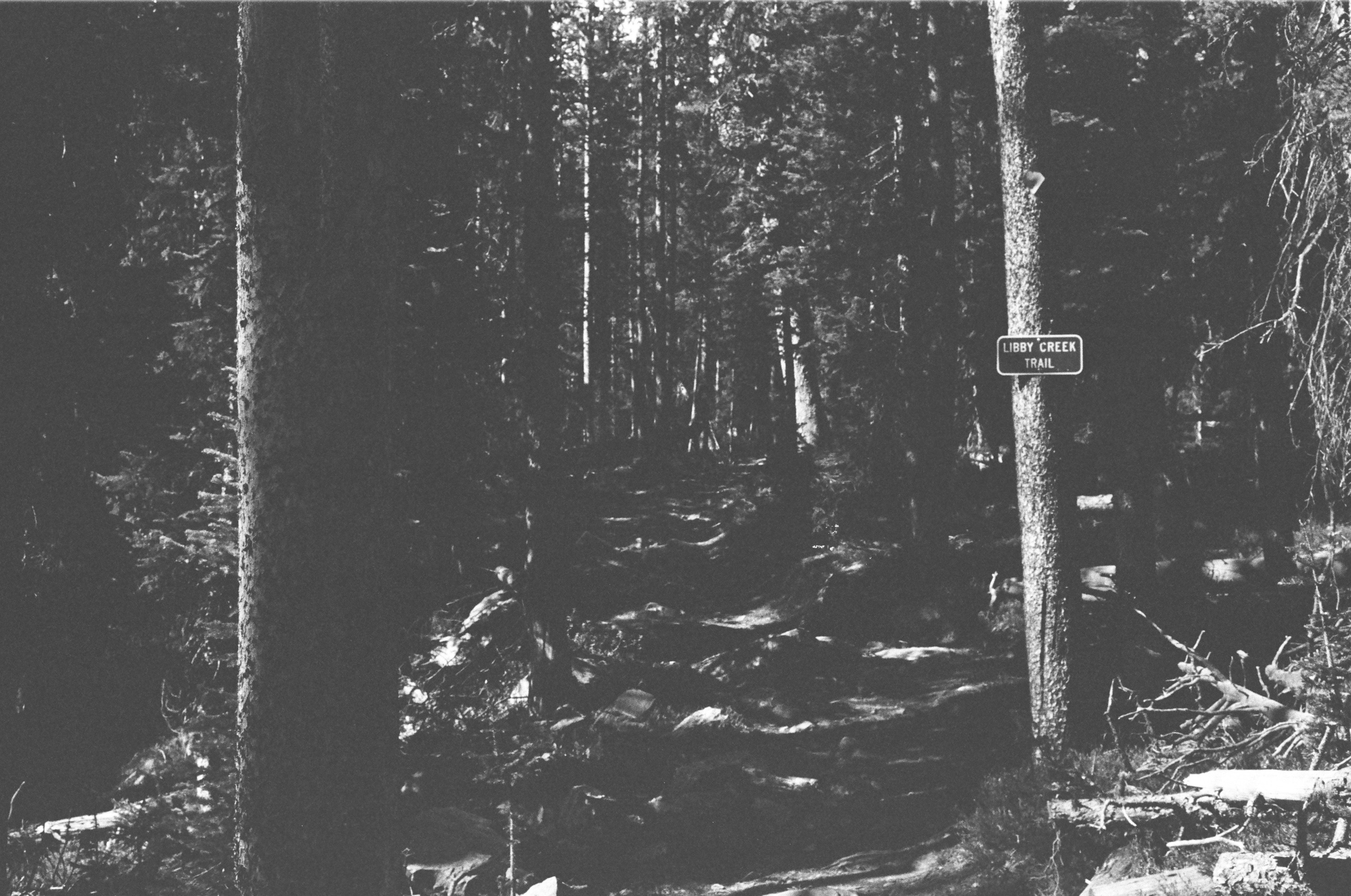 Photo by brennankicks