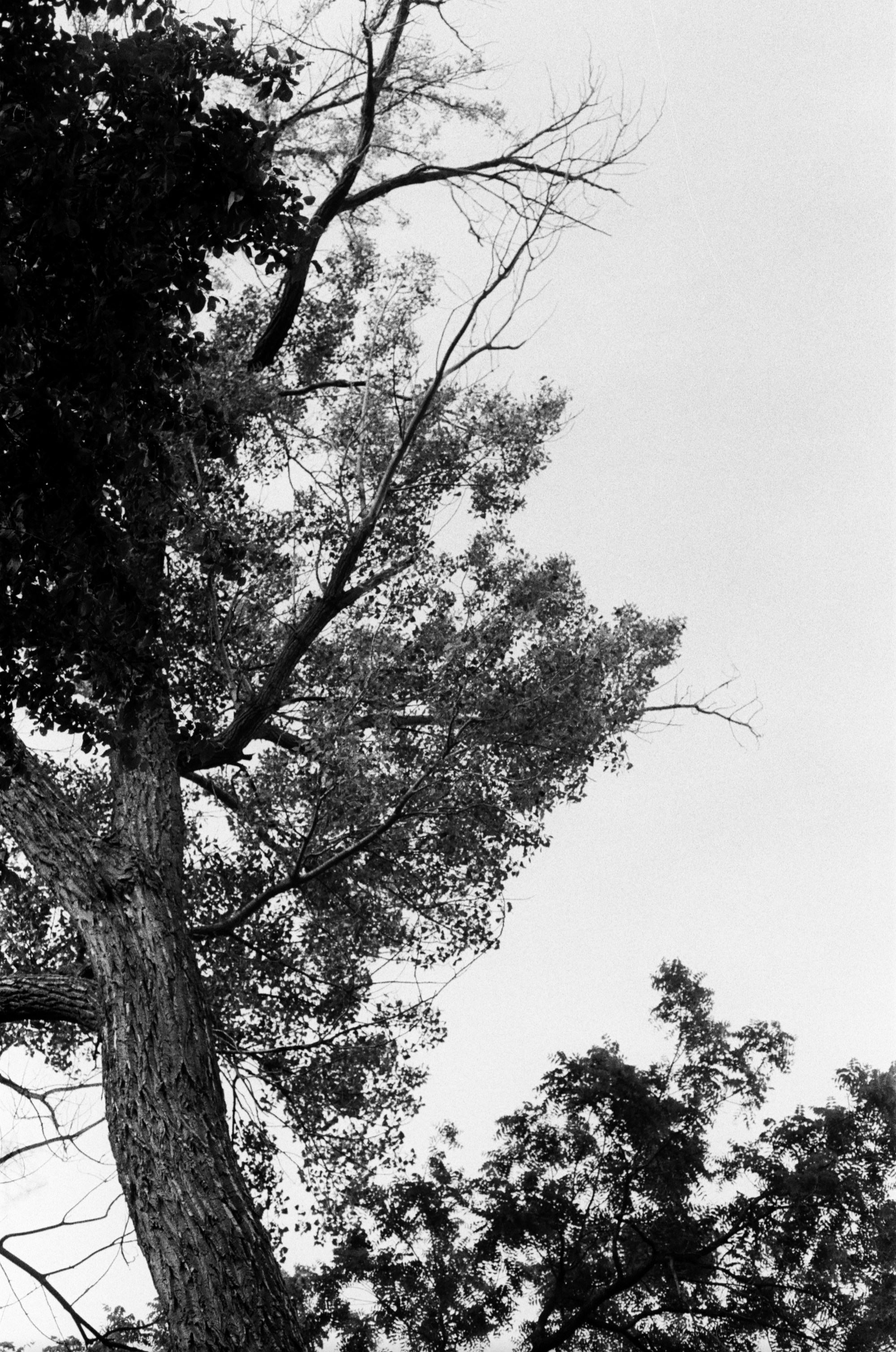 Photo by brennankicks