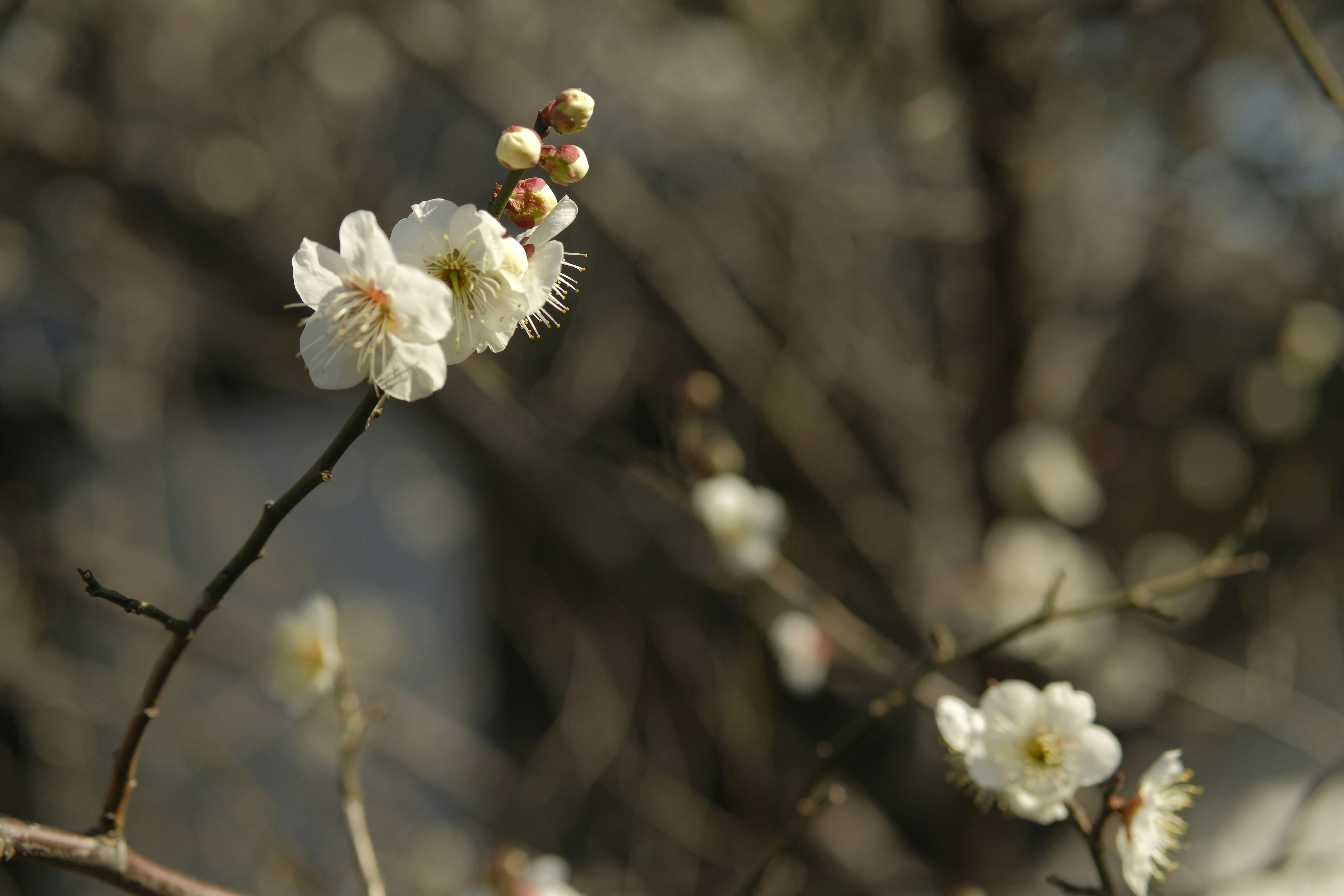 Photo by projectfarsighted