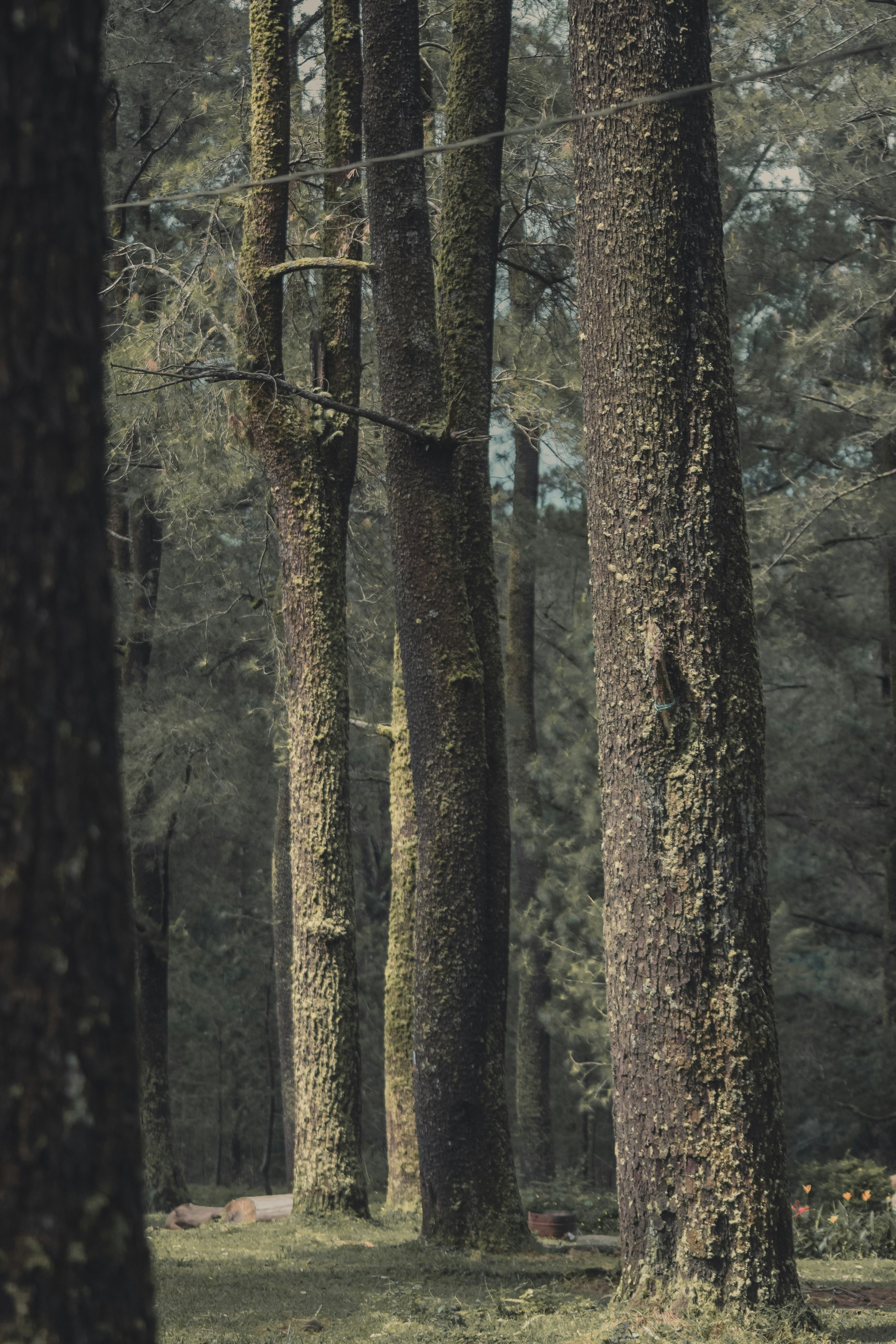 Photo by alpicture2311