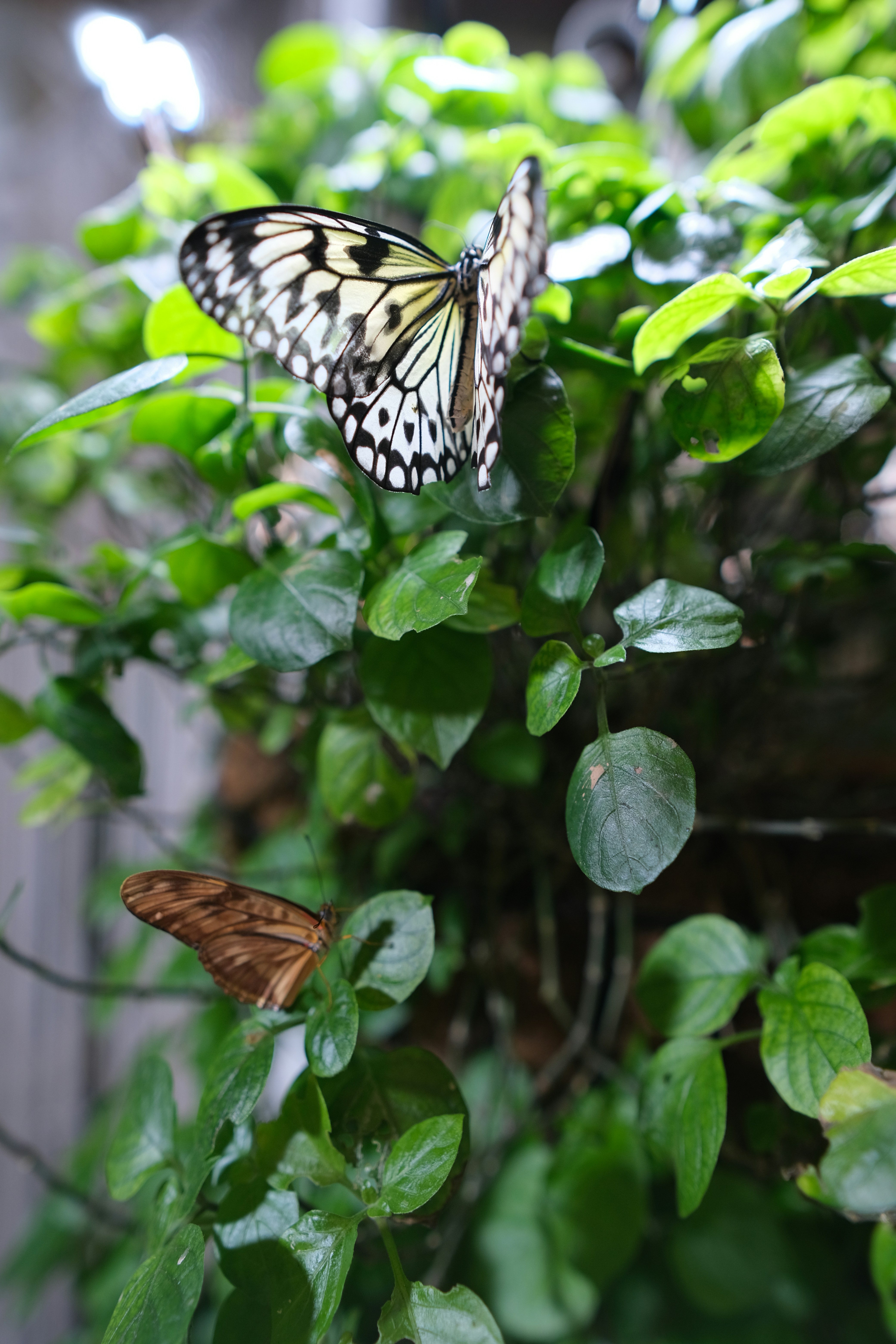 Photo by v91_photography