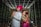 A couple dressed in traditional Indian attire are posing back-to-back under a canopy of white string lights. The man is wearing a white sherwani with a bright pink turban, while the woman is dressed in a pink and green saree with intricate jewelry and henna on her hands.