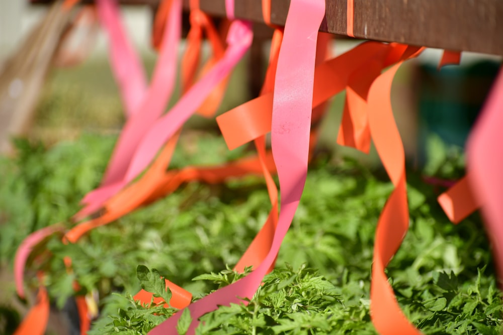 a close up of a bench with ribbons on it