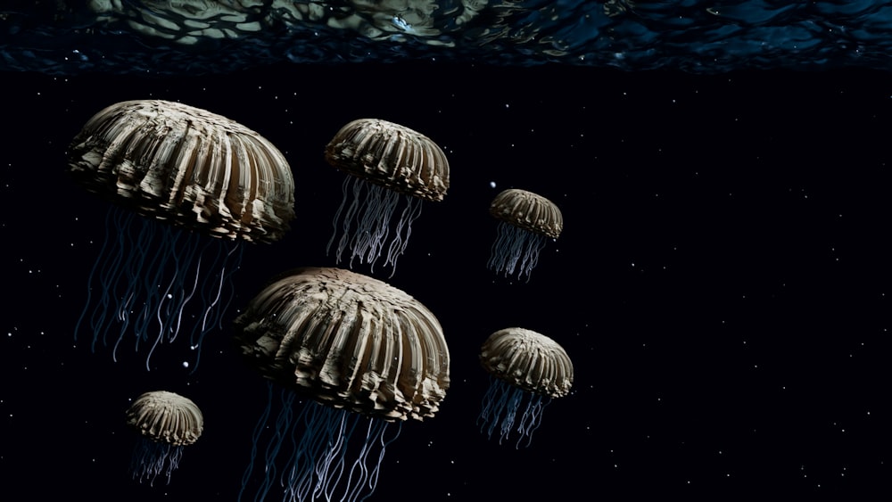 a group of jellyfish floating in the water