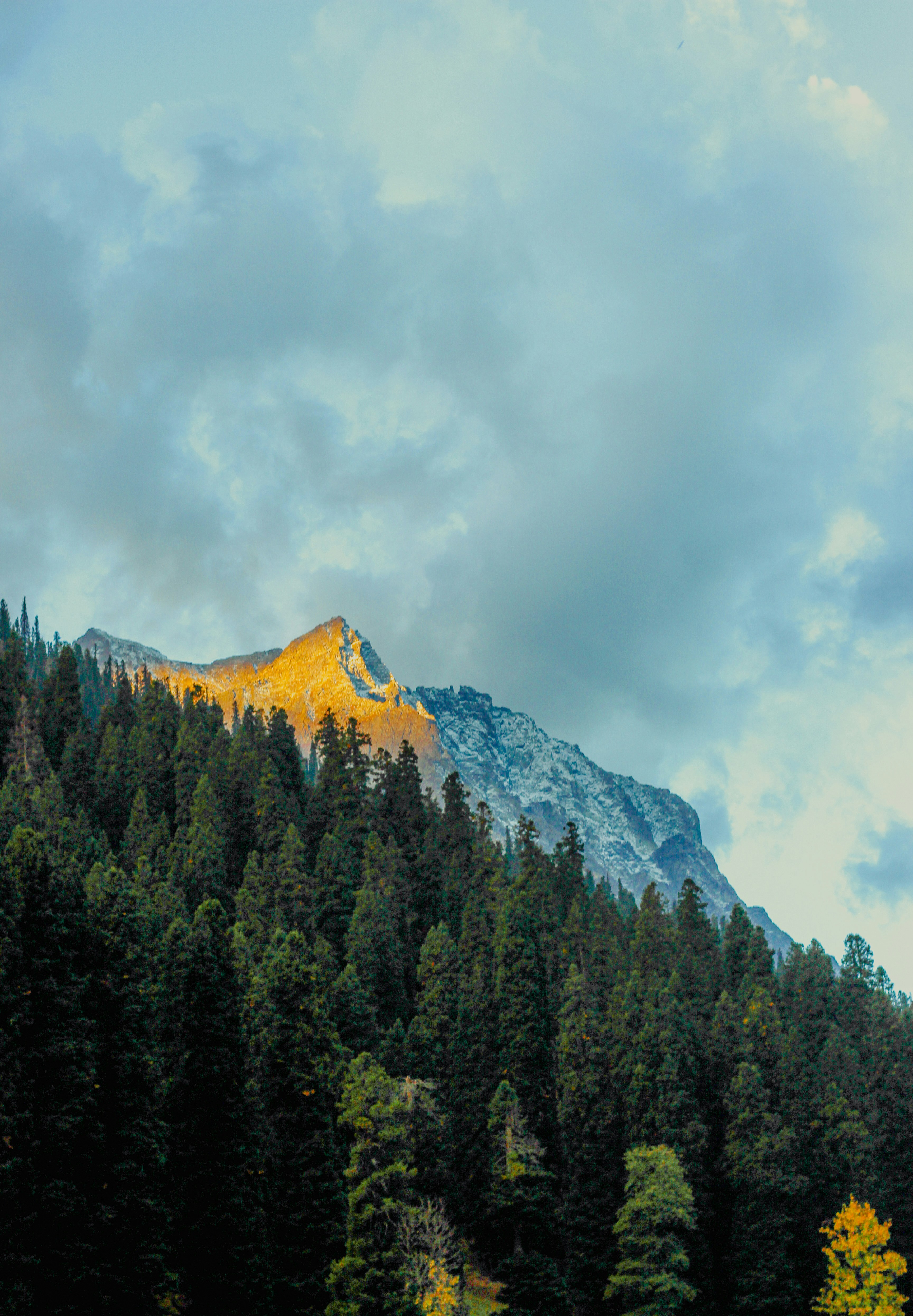 Photo by shahal_3347