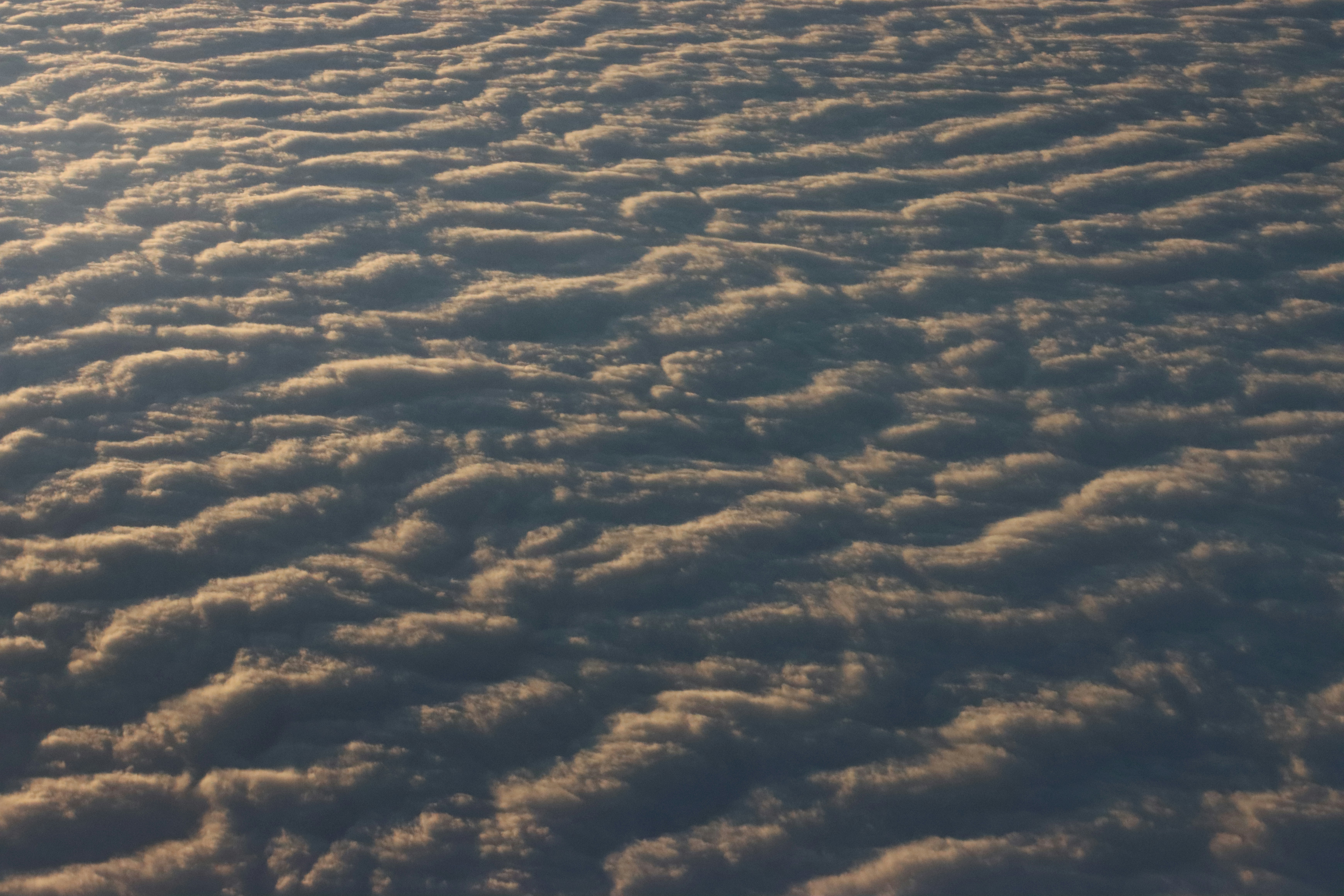 Photo by leoearthancha