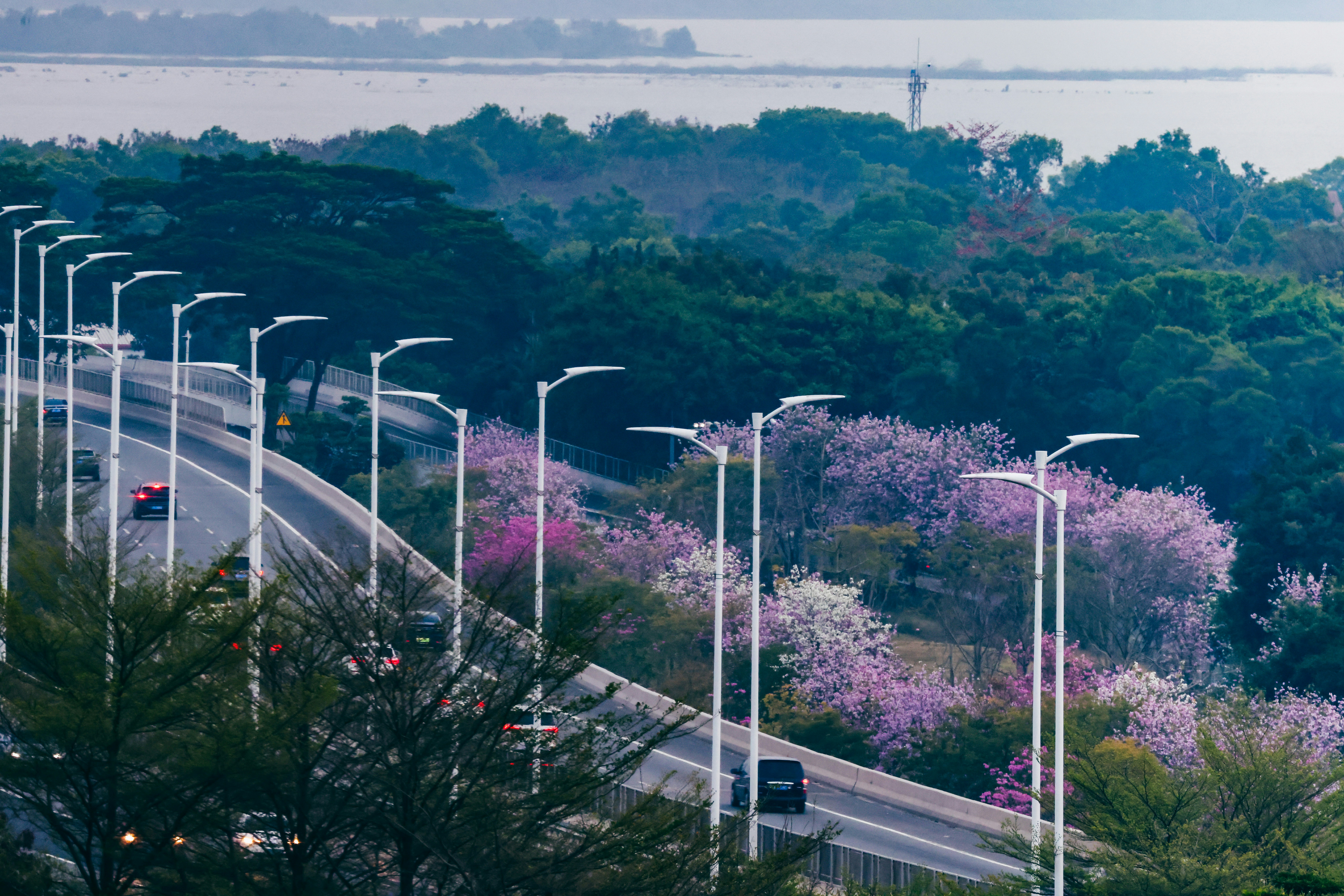 Photo by dickenslin76