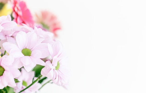 Close-up of a delicate floral centerpiece with soft pastel tones.
