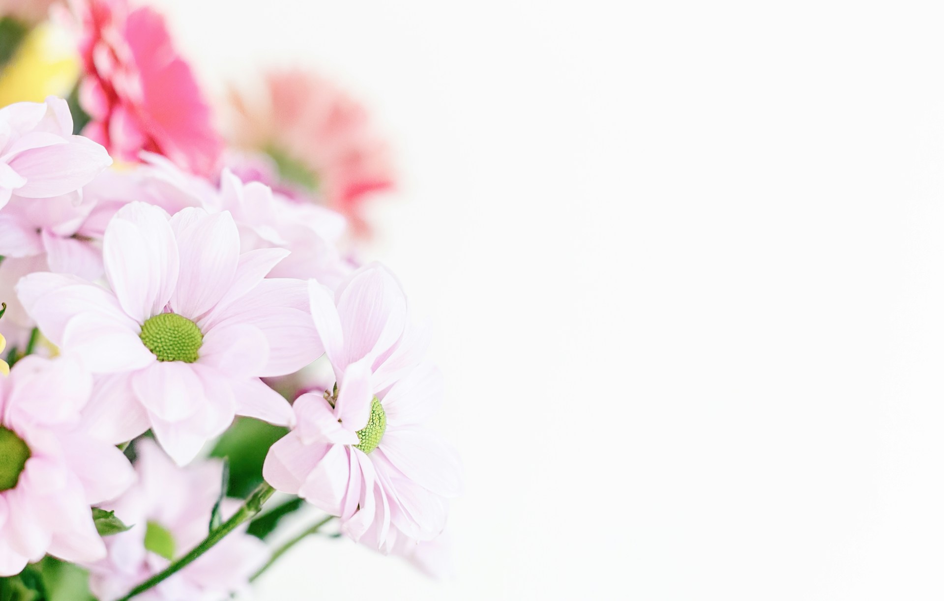 a vase filled with pink and white flowers