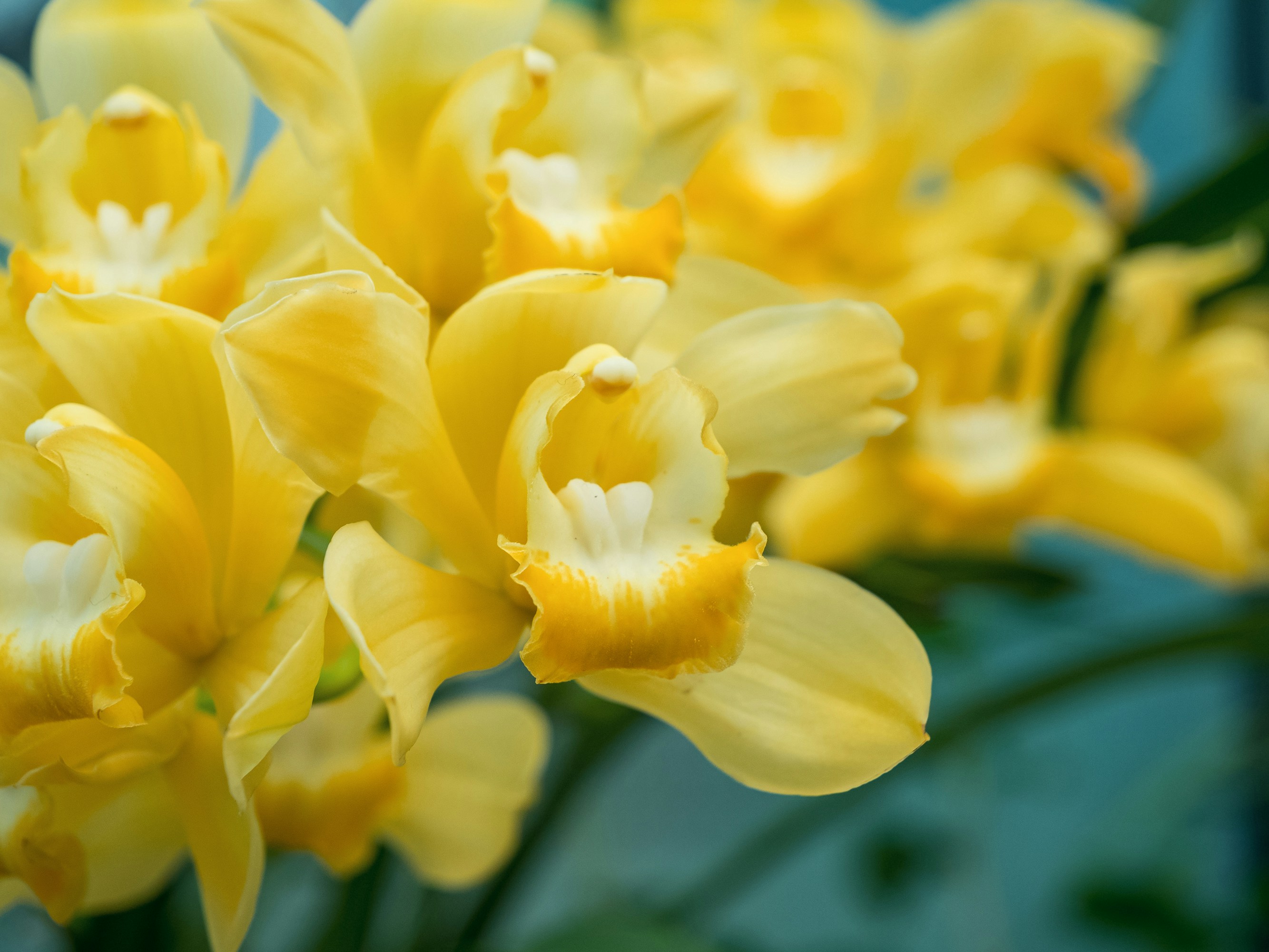 Photo by space_face_films