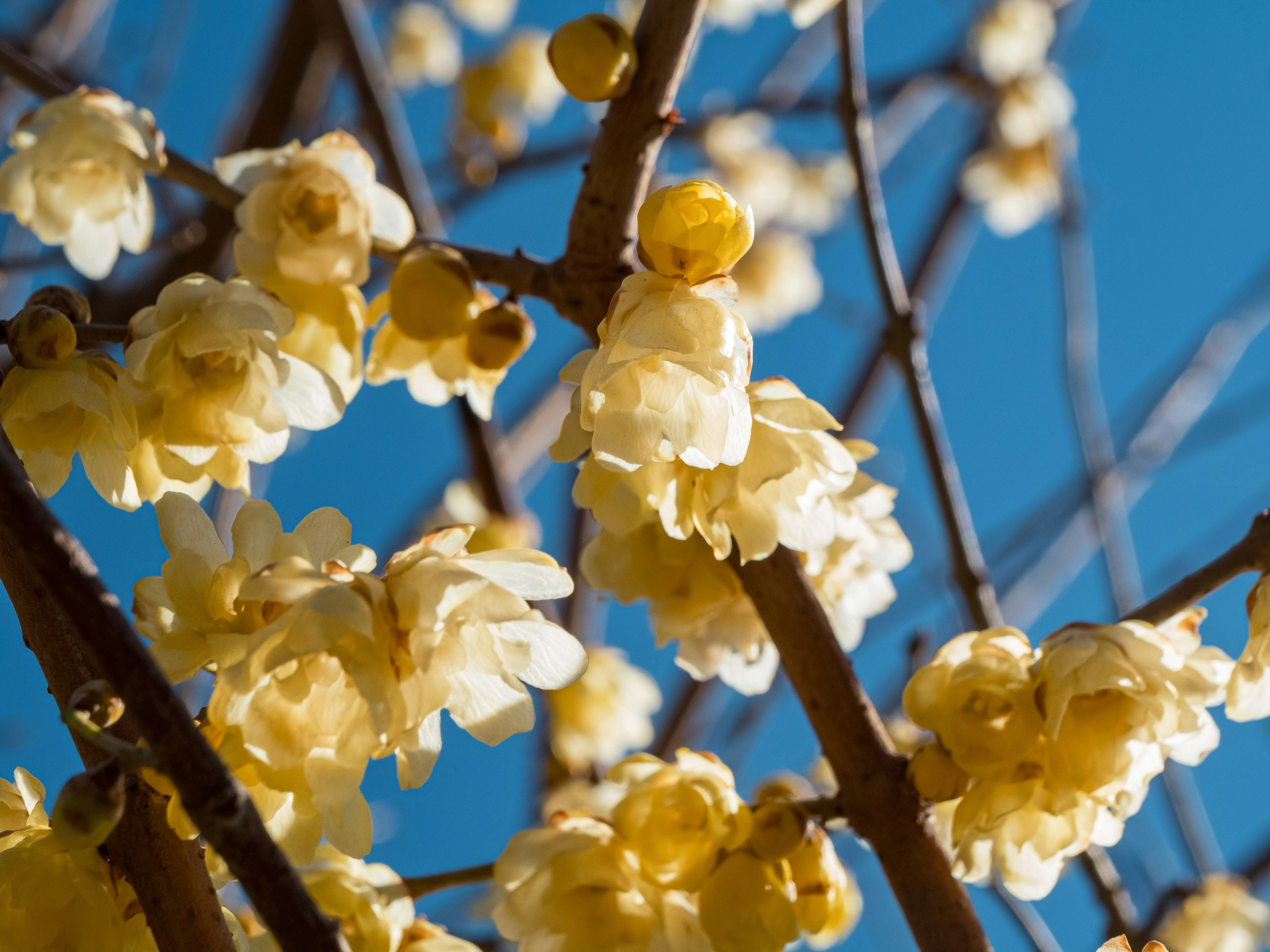 Photo by space_face_films