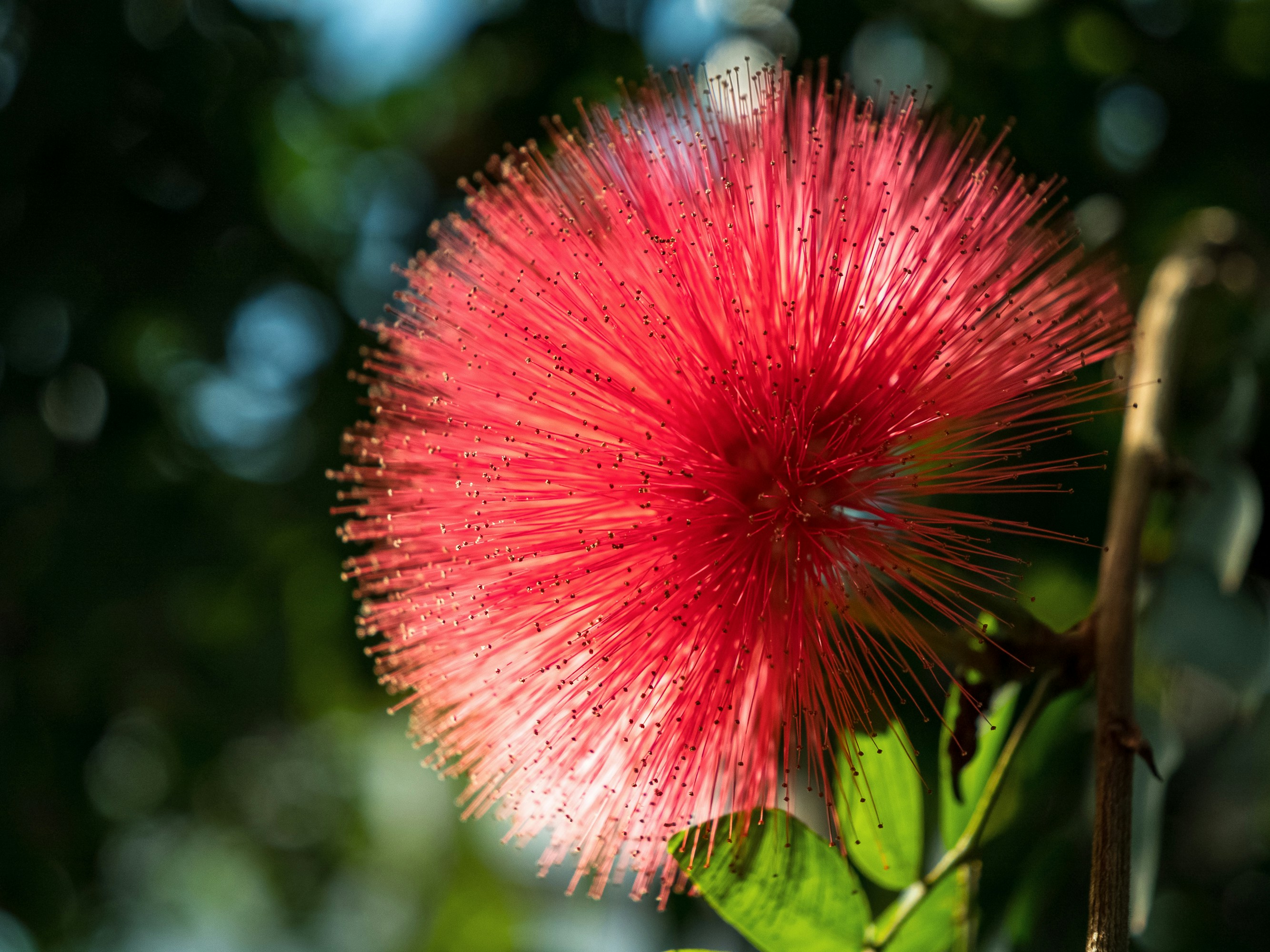 Photo by space_face_films