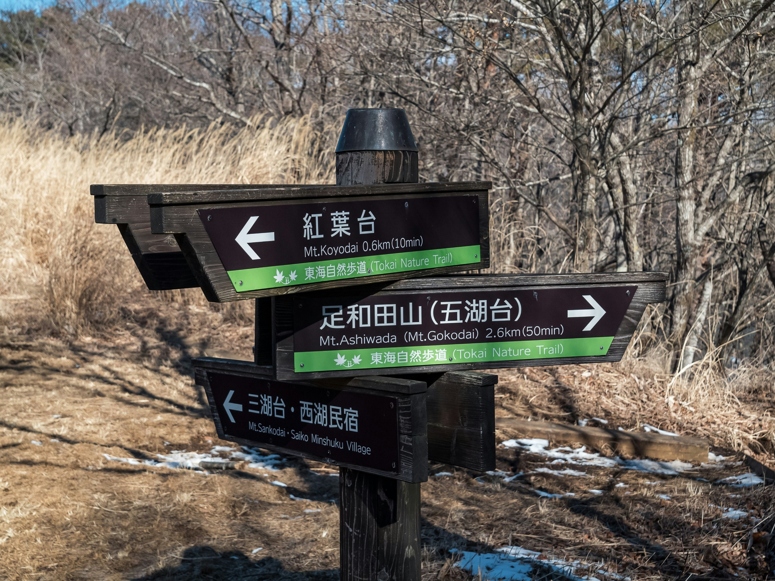 Photo by space_face_films