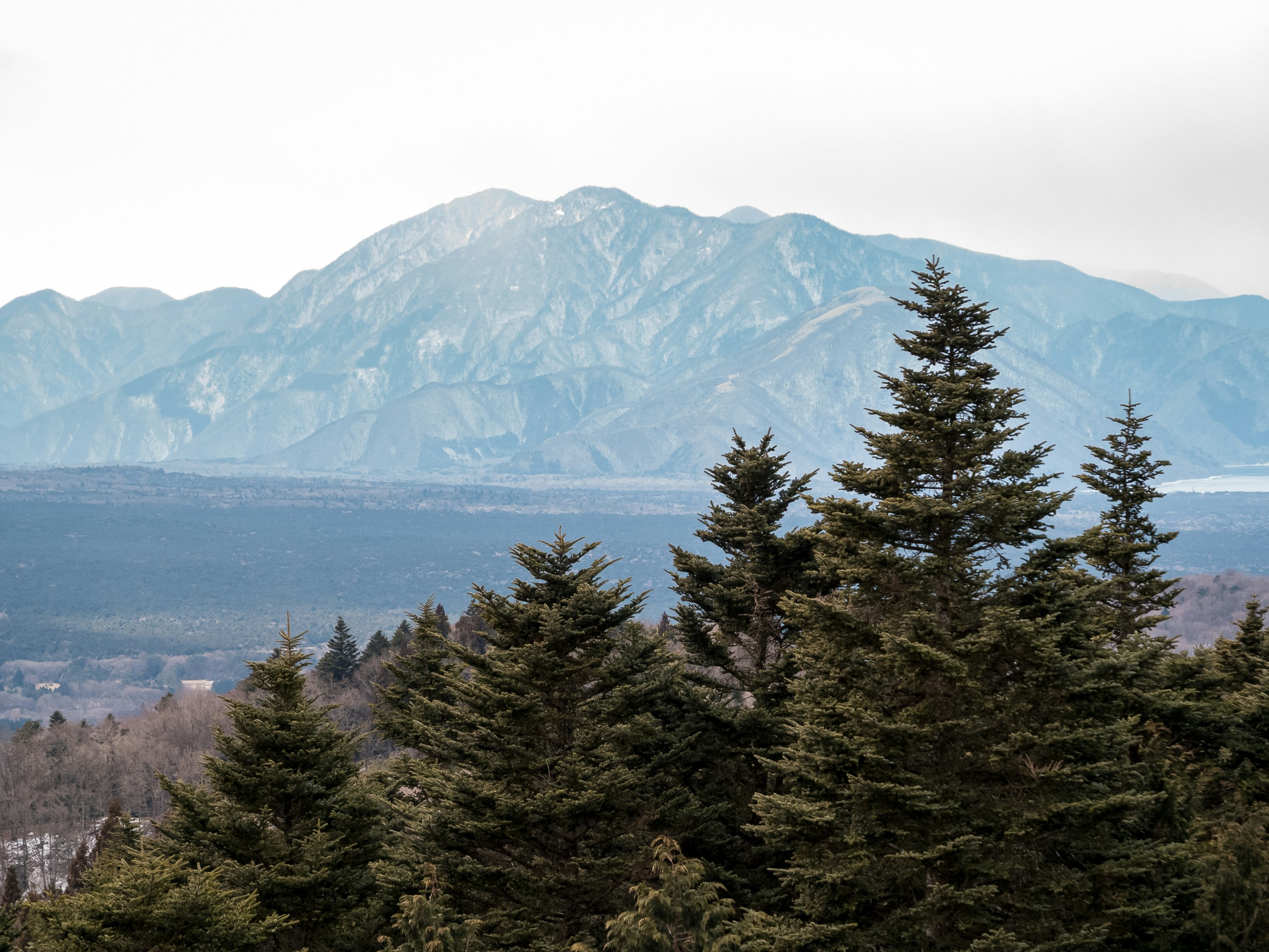 Photo by space_face_films