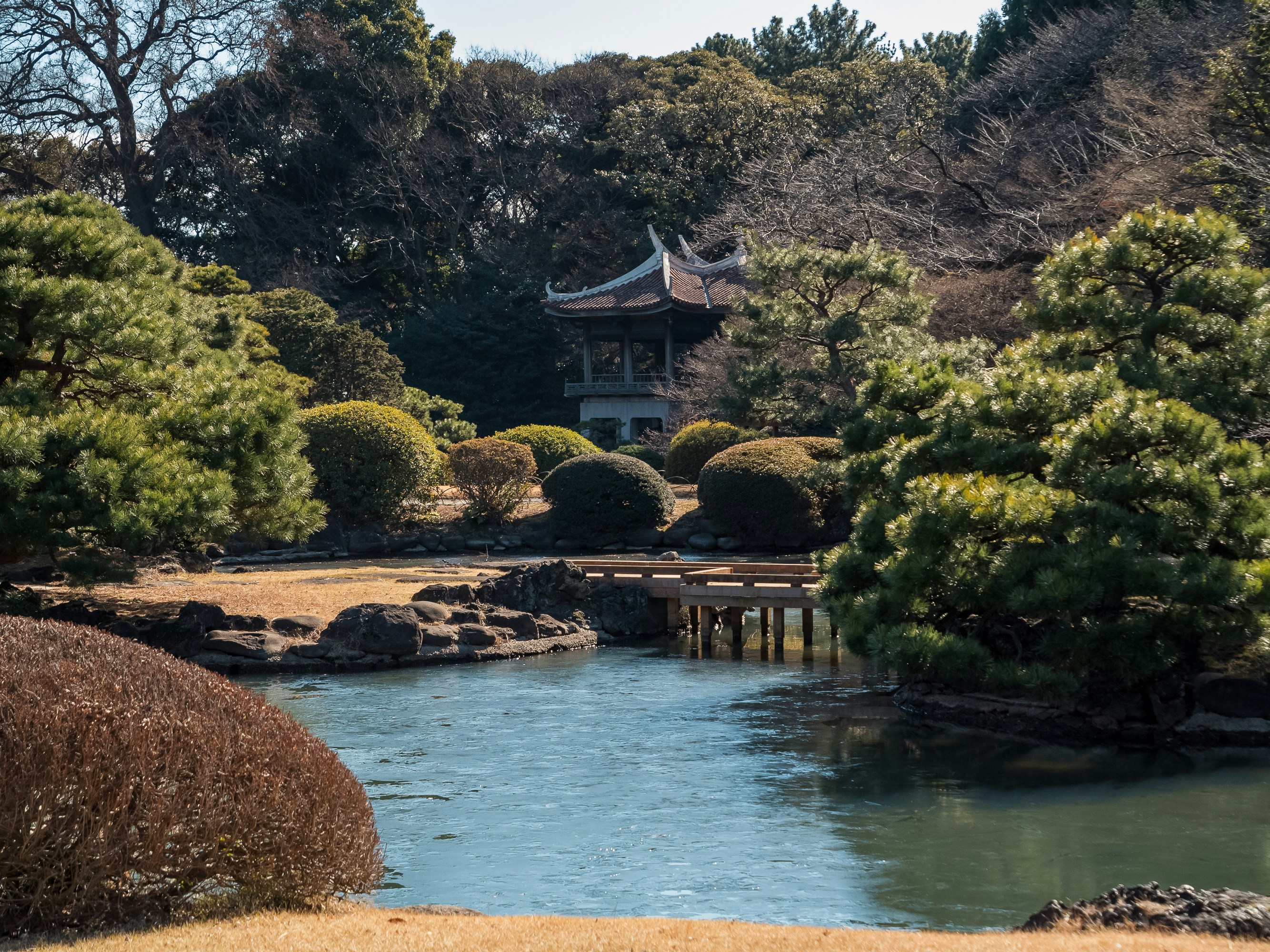 Photo by space_face_films