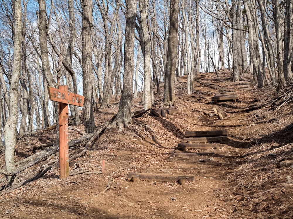 a trail in the woods with a wooden sign