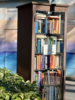 A tall, glass-fronted cabinet filled with a diverse collection of books is situated outdoors. The cabinet appears to be a public book exchange or little free library. Green shrubs are visible at the bottom left corner, adding a touch of nature. The background consists of a mural with soft blue and beige hues.