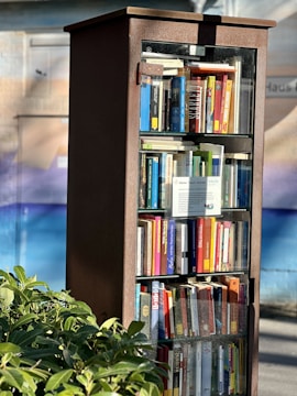 A tall, glass-fronted cabinet filled with a diverse collection of books is situated outdoors. The cabinet appears to be a public book exchange or little free library. Green shrubs are visible at the bottom left corner, adding a touch of nature. The background consists of a mural with soft blue and beige hues.