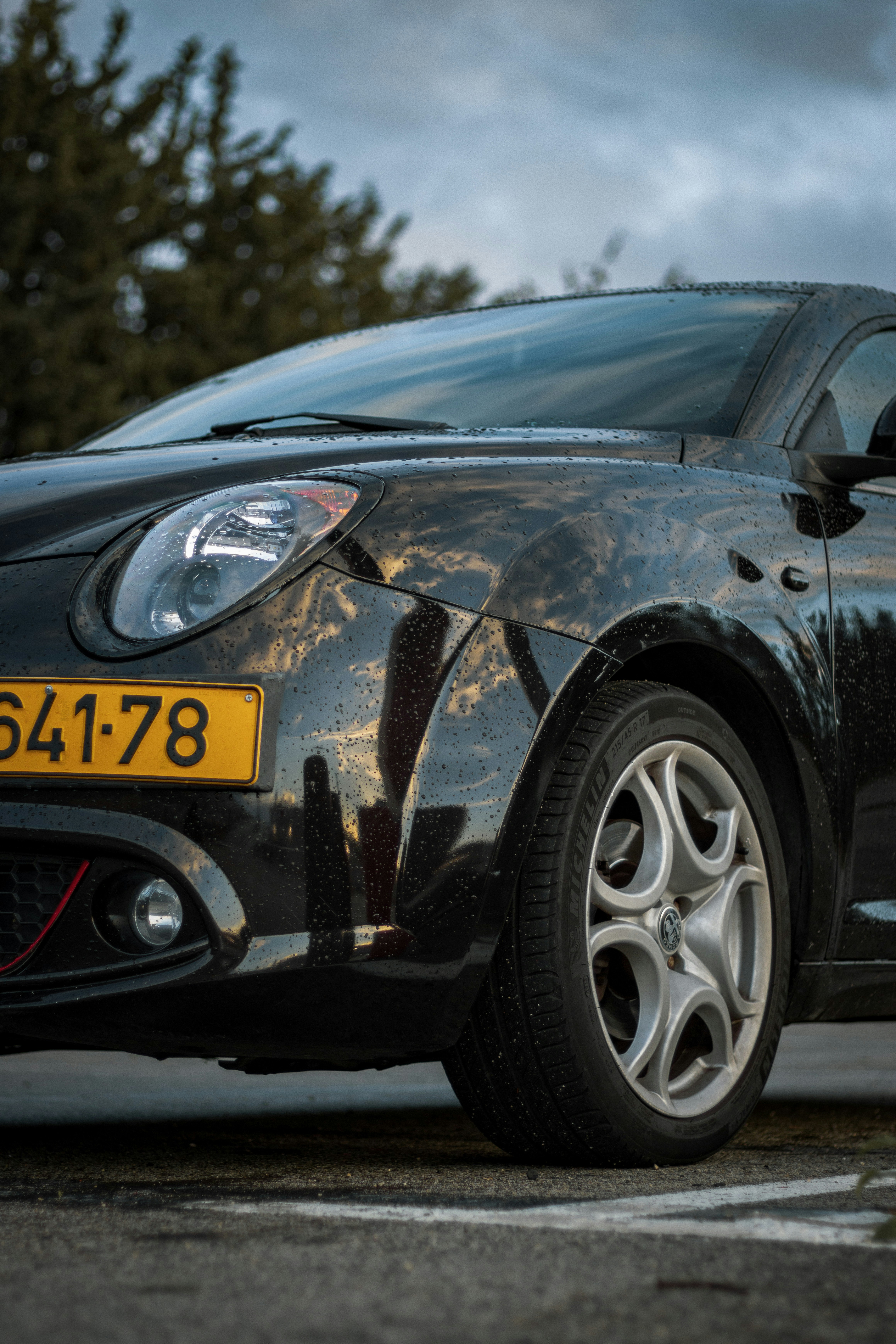 Photo by shoham_avisrur