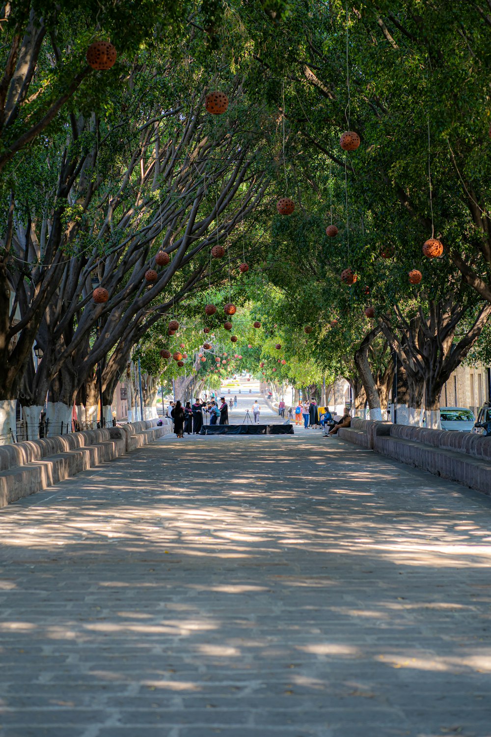 a walkway lined with trees and people sitting on benches