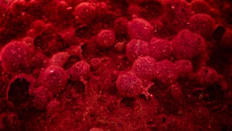 a close up of a red substance on a surface