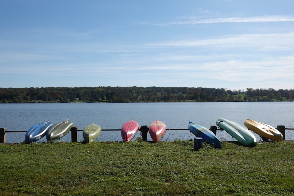 a row of surfboards sitting on top of a grass covered field