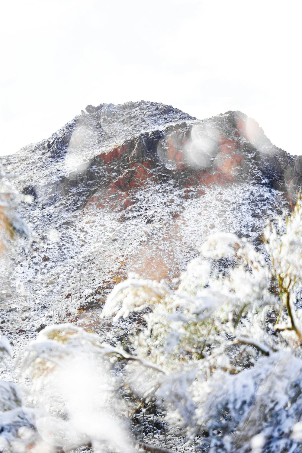 a snow covered mountain with trees and bushes