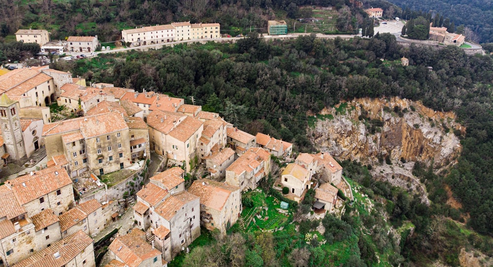 an aerial view of a village in the mountains