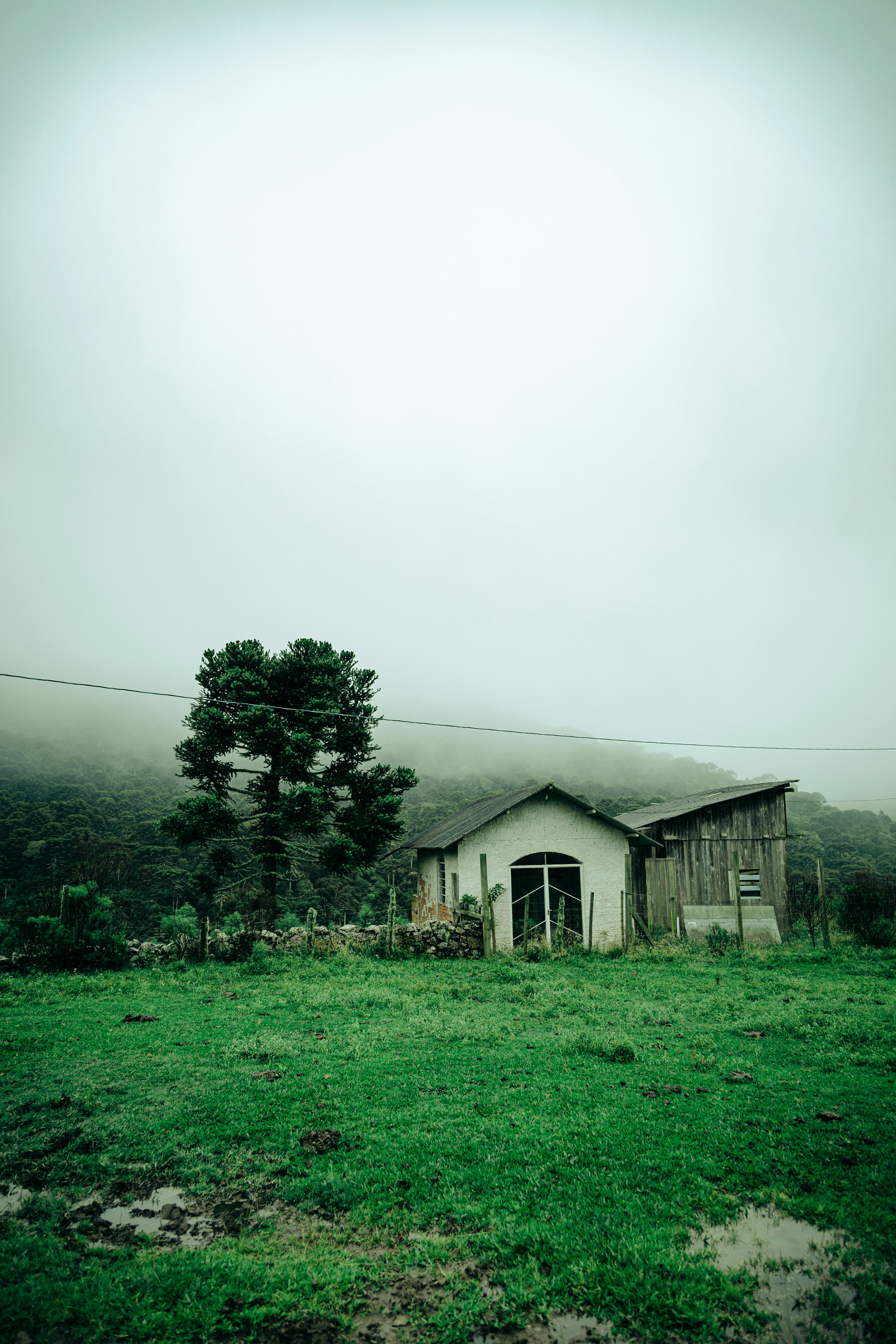 Photo by gabrieluizramos