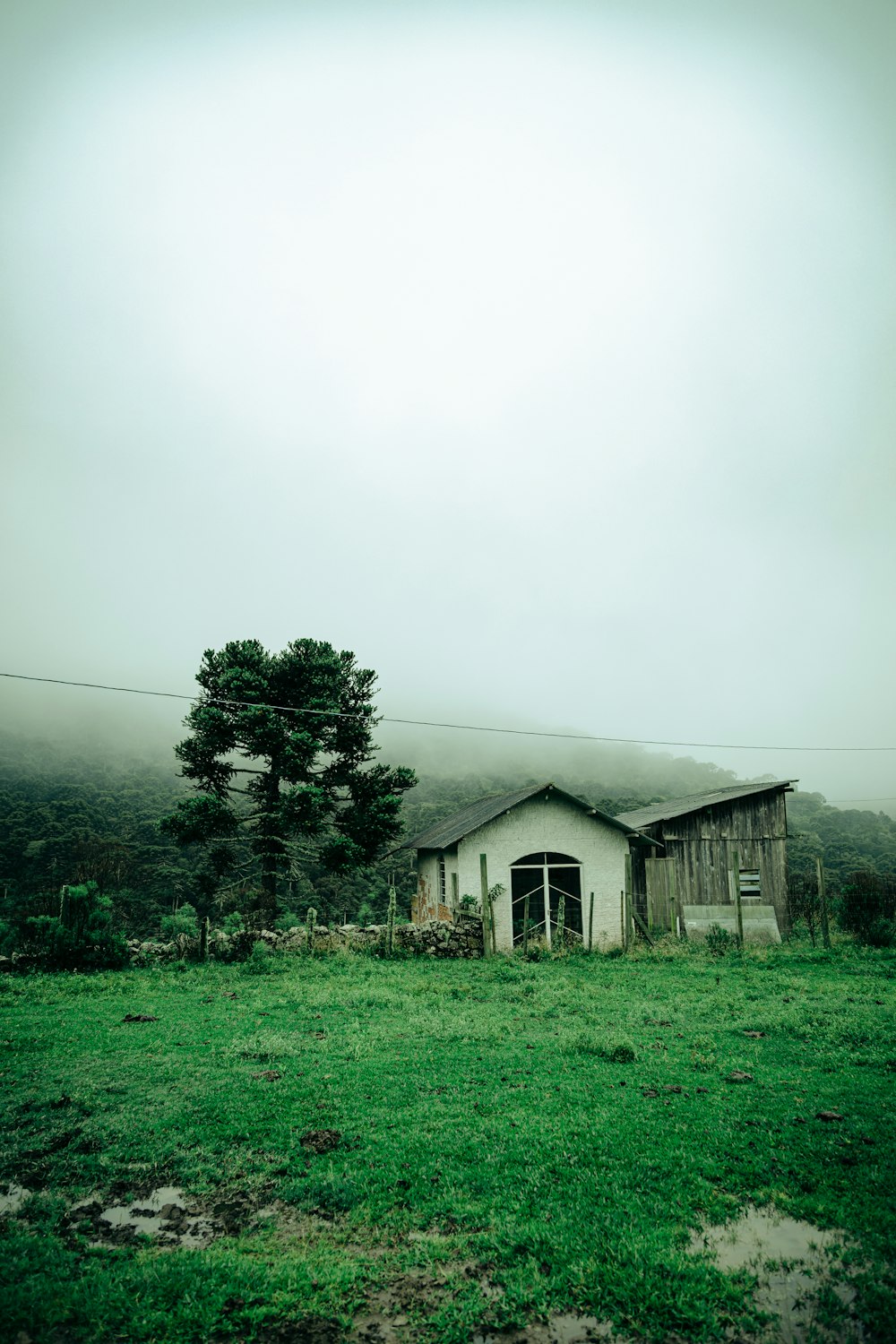 a house in the middle of a green field