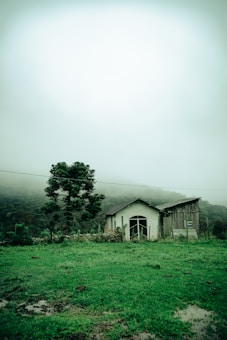 A rustic house with a wooden section and a tiled roof is located amidst a lush green field. A tall tree stands beside it, and dense, fog-covered forests are in the background. The sky is overcast and gray, enhancing the serene and slightly mysterious ambiance.