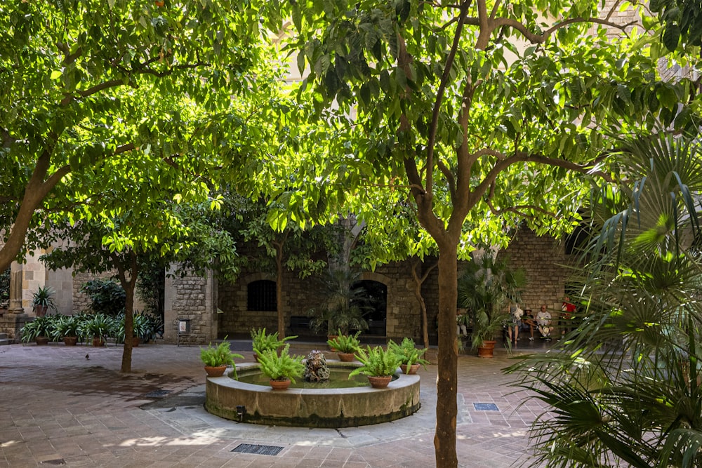 a courtyard with a fountain surrounded by trees