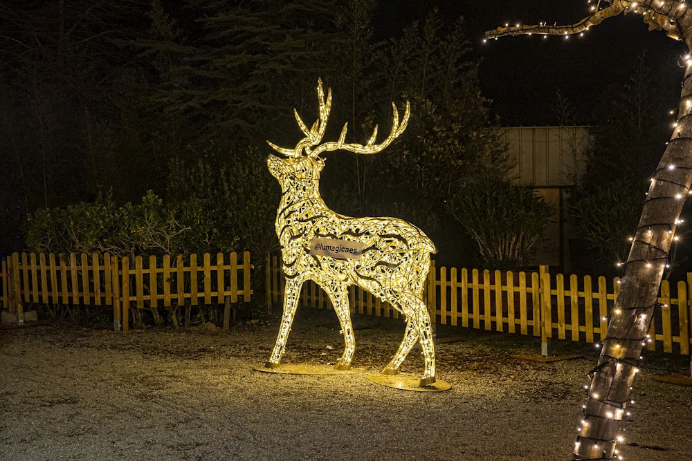 a lighted deer in a yard at night