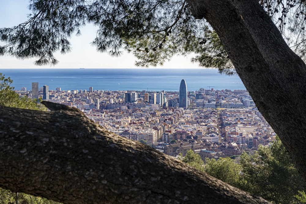 a view of the city of barcelona from the top of a hill